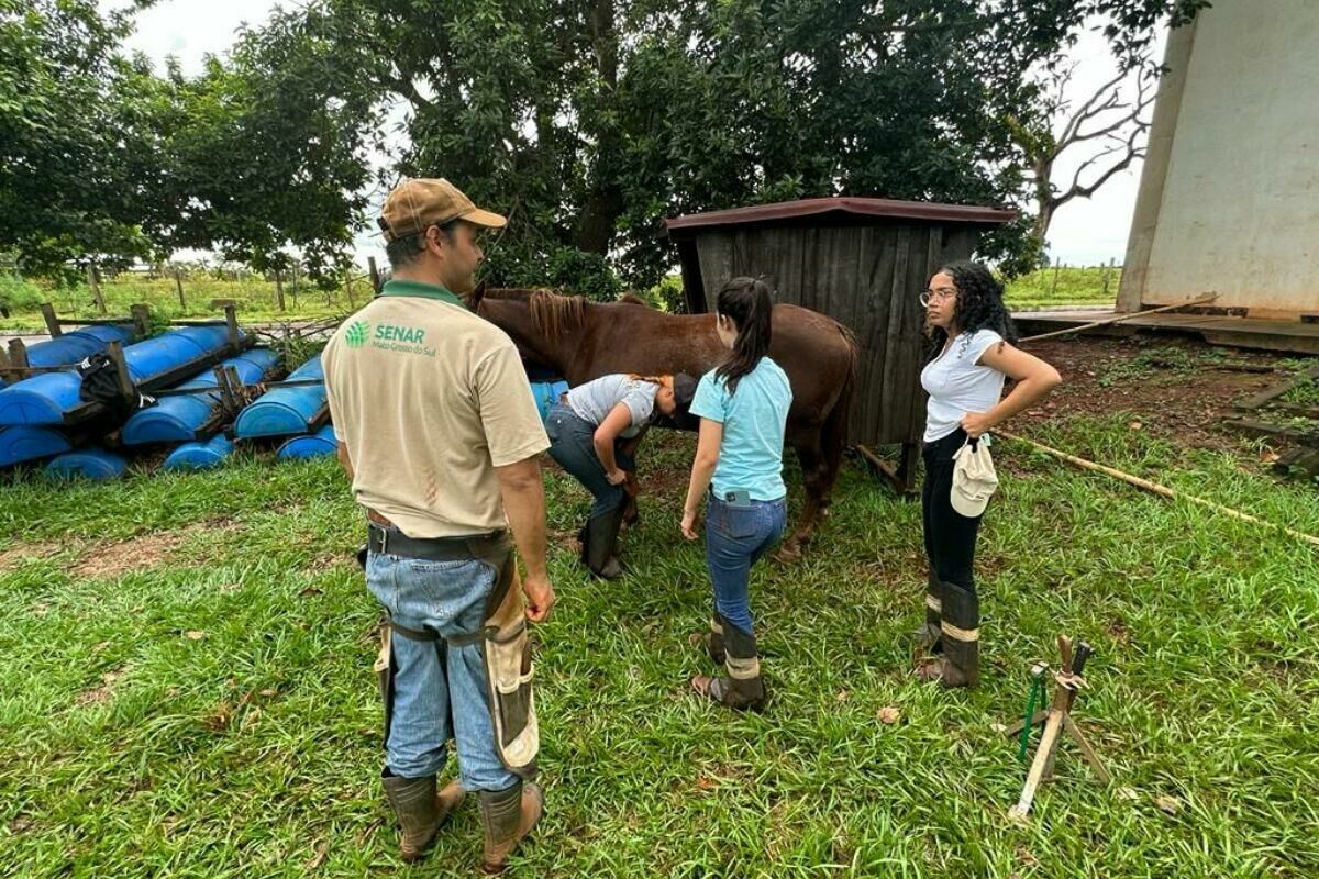 Imagem de compartilhamento para o artigo Senar tem vagas abertas em Costa Rica e Chapadão do Sul para cursos técnicos com foco no agronegócio da MS Todo dia